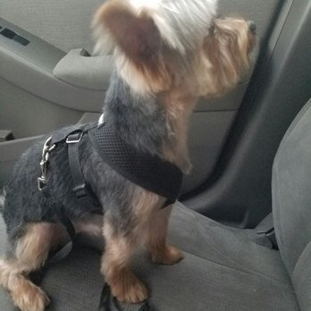 Kanine Kabin - Wendy the groomer was so good! - Pet Groomers Near Me - Long Beach, California