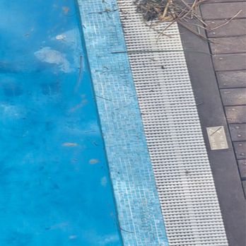 Secrets Aura Cozumel - Again, another pool with debris that was found several days - Hotels Near Me - Cozumel, ROO