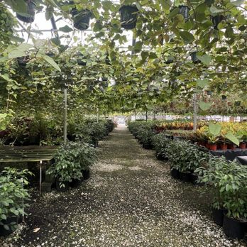 Kobata Growers - Nurseries & Gardening Near Me - Torrance, California Kobata Growers - Nurseries & Gardening Near Me - Torrance, California