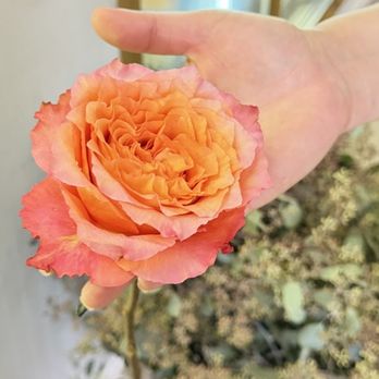 Alexandria's Flowers - Special rose ( seasonal ) - Florists Near Me - Pleasanton, California Alexandria's Flowers - Special rose ( seasonal ) - Florists Near Me - Pleasanton, California