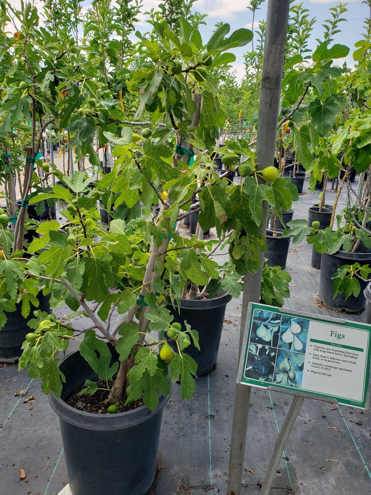 SIERRA VISTA GROWERS 64 Photos & 21 Reviews 2800 NM Hwy 28, Anthony