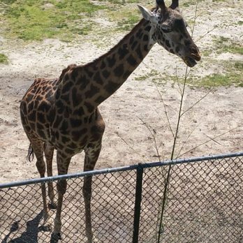 Virginia Zoo - Zoos Near Me - Norfolk, Virginia