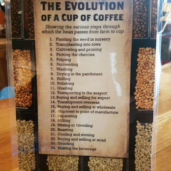 Dancing Goats Coffee Tasting Room - The evolution of a cup of coffee - Coffee & Tea Near Me - Olympia, Washington Dancing Goats Coffee Tasting Room - The evolution of a cup of coffee - Coffee & Tea Near Me - Olympia, Washington