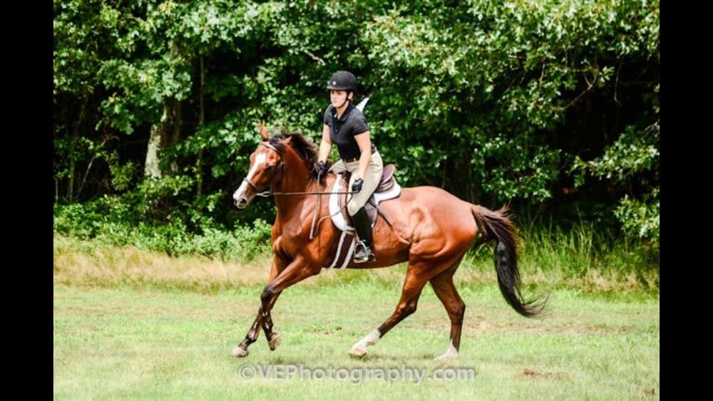 East Coast Equine - equestrian in Derry, NH