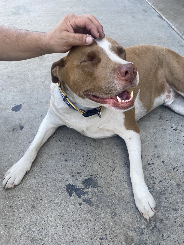 BOB’S AUTO GLASS Updated August 2024 26 Reviews 600 E 19th St