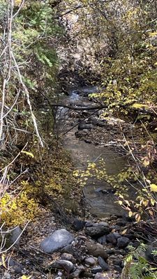 Dixie National Forest by null
