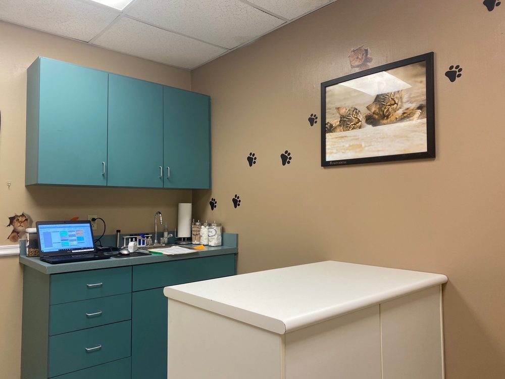 SALEM VETERINARY HOSPITAL Updated August 2024 18 Photos & 29