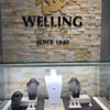 Welling & Co Jewelers gift card