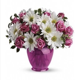 Online pic of what I ordered