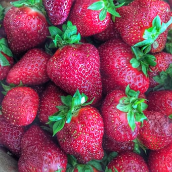 Ingram's Strawberries - Ingram Farms Strawberries - Fruits & Veggies Near Me - High Point, North Carolina