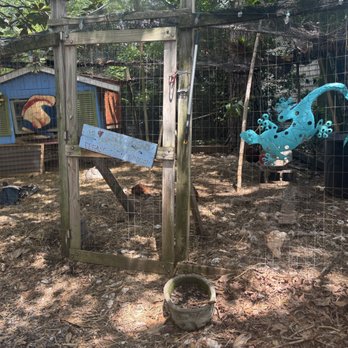 Leaping Lizard Cafe - Cafes Near Me - Virginia Beach, Virginia