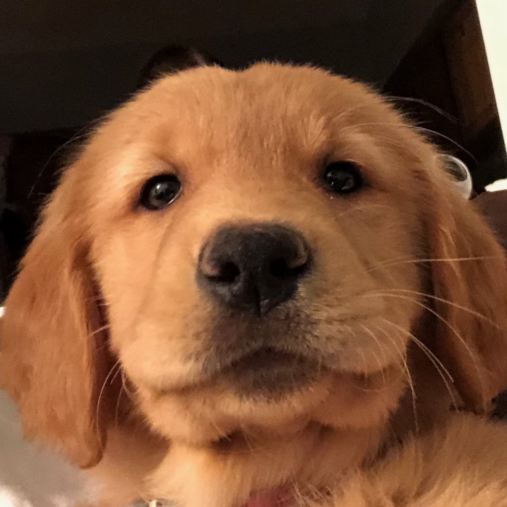 Feeling Cute, Might Delete Later.