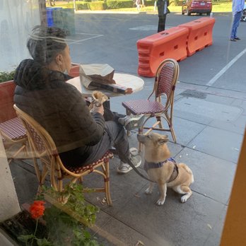 Basque Boulangerie Cafe - Perry approves the butter croissant - Bakeries Near Me - Sonoma, California Basque Boulangerie Cafe - Perry approves the butter croissant - Bakeries Near Me - Sonoma, California