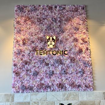 TeaTonic - Coffee & Tea Near Me - Houston, Texas TeaTonic - Coffee & Tea Near Me - Houston, Texas