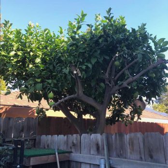 Cutting Edge Lawn Care And Maintenance - Lawn Services Near Me