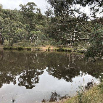 Majura pines Recreation Area - Pond - Parks Near Me - Australia Capital Territory, ACT