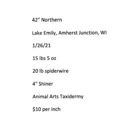 Animal Arts Taxidermy