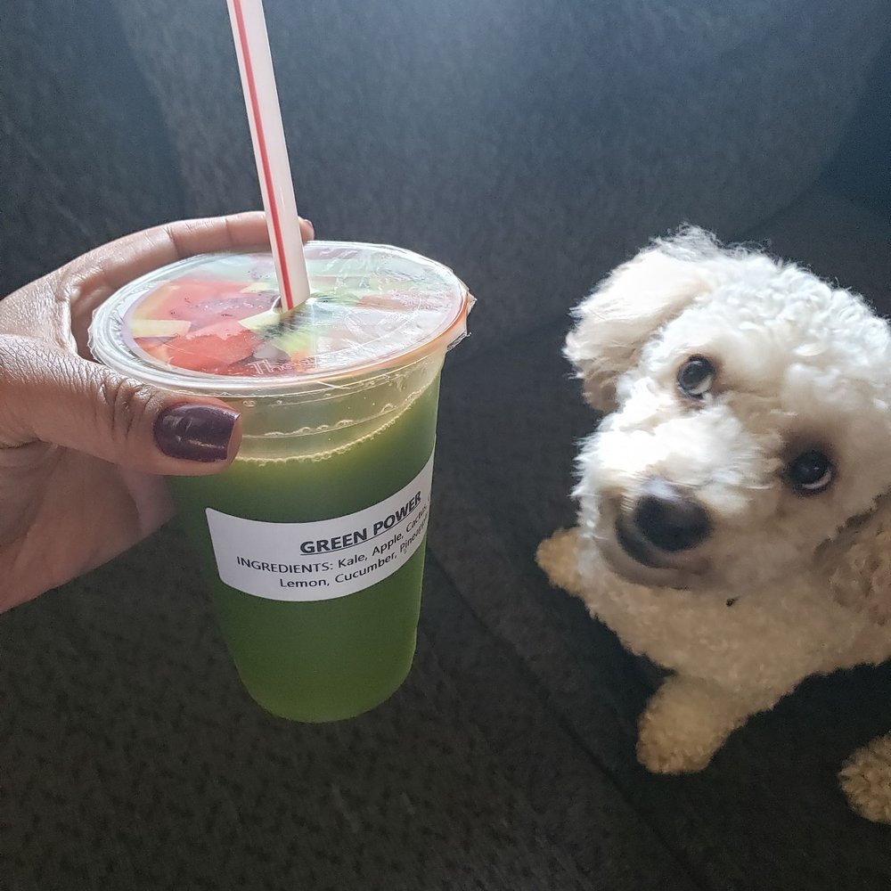 Vida Juice - Cooper approves of the Green Power - Desserts Near Me - Long Beach, California Vida Juice - Cooper approves of the Green Power - Desserts Near Me - Long Beach, California