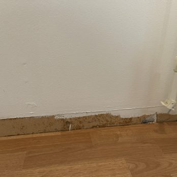 Dann Dolce Painting - Paint bubbles, drips. clearly missed portions of the wall/floorboard area - Painters Near Me