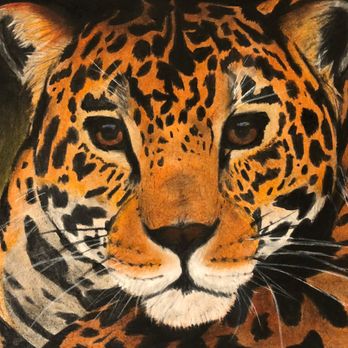 Otto's Fine Art Academy - Student Art - Art Schools Near Me - Mukwonago, Wisconsin Otto's Fine Art Academy - Student Art - Art Schools Near Me - Mukwonago, Wisconsin
