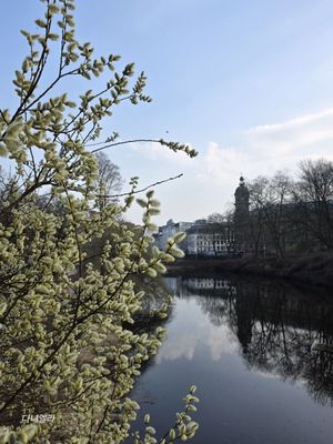 Planten un Blomen by null