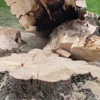K&R Tree Service - Tree Services Near Me - South Bend, Indiana K&R Tree Service - Tree Services Near Me - South Bend, Indiana