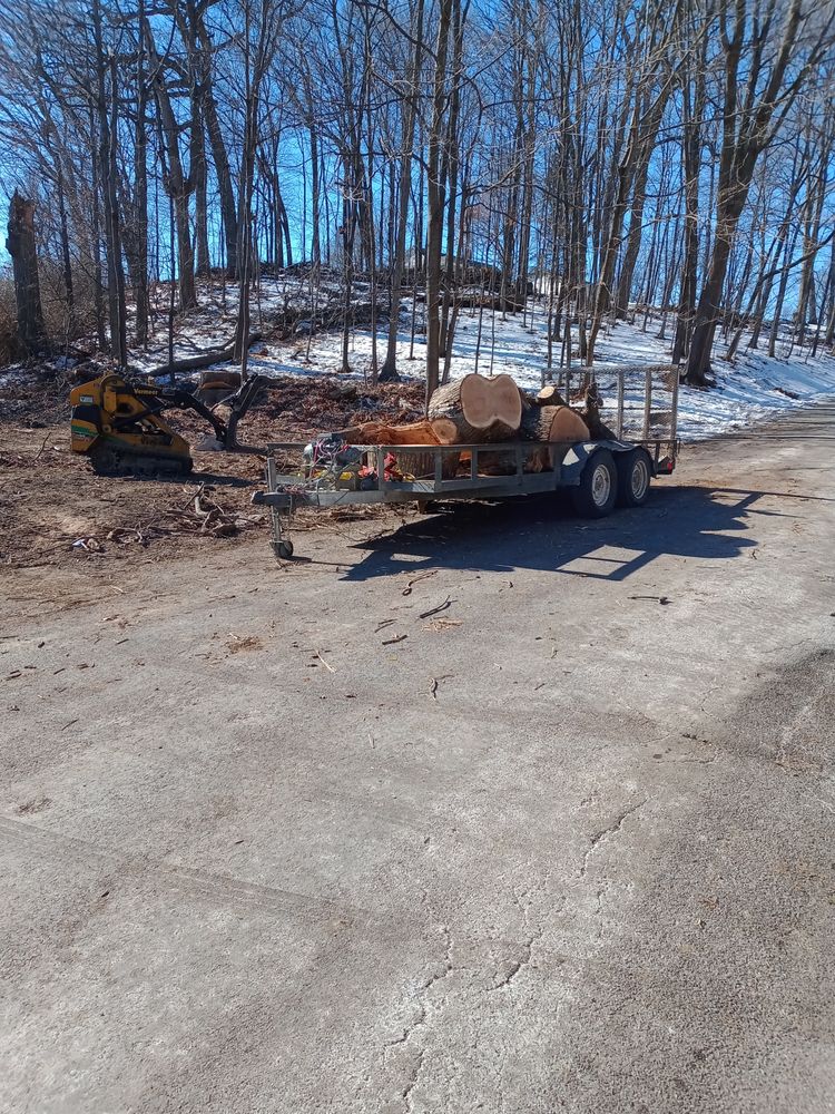 One Call Does It All - tree service in Peoria Heights, IL