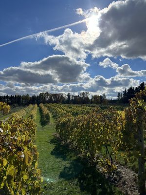 Aamodt's Apple Farm by null