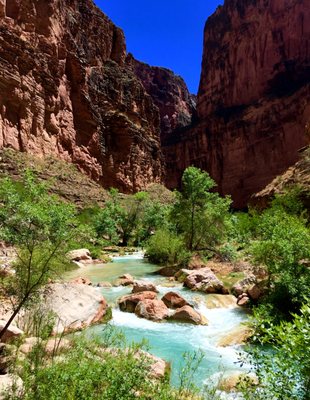 Grand Canyon Expeditions by null
