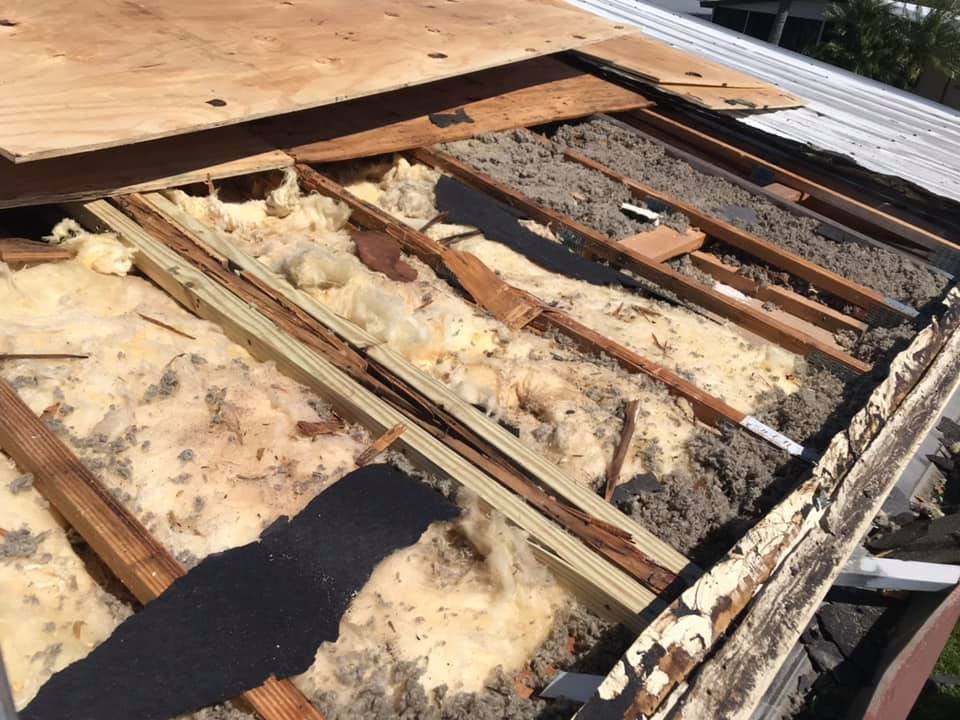 Slide of Wild Roofing