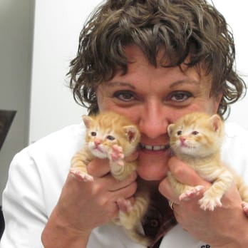 Speedway Veterinary Hospital - Dr. Boyer and two new arrivals - Veterinarians Near Me - Tucson, Arizona Speedway Veterinary Hospital - Dr. Boyer and two new arrivals - Veterinarians Near Me - Tucson, Arizona
