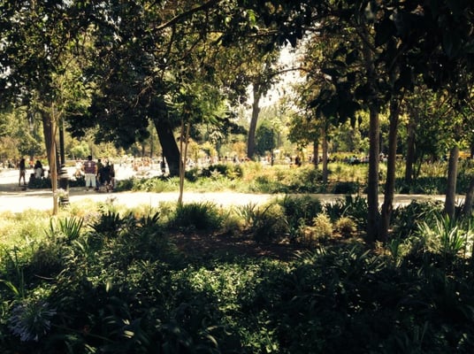 Parque Quinta Normal by null