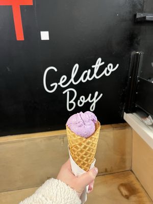 Gelato Boy by null