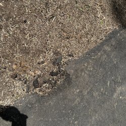 D&A Tree Service