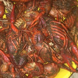 Miko's Seafood - MUDDY CRAWFISH