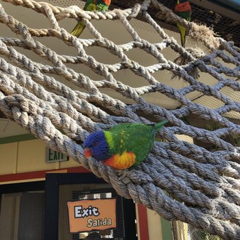 Denver Zoo - Zoos Near Me - Denver, Colorado Denver Zoo - Zoos Near Me - Denver, Colorado
