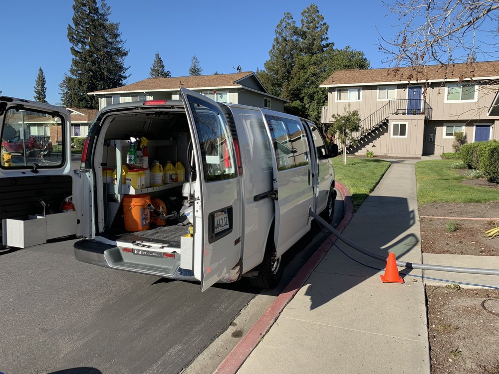 PLATINUM CARPET CLEANING 66 Photos & 74 Reviews Carpet Cleaning