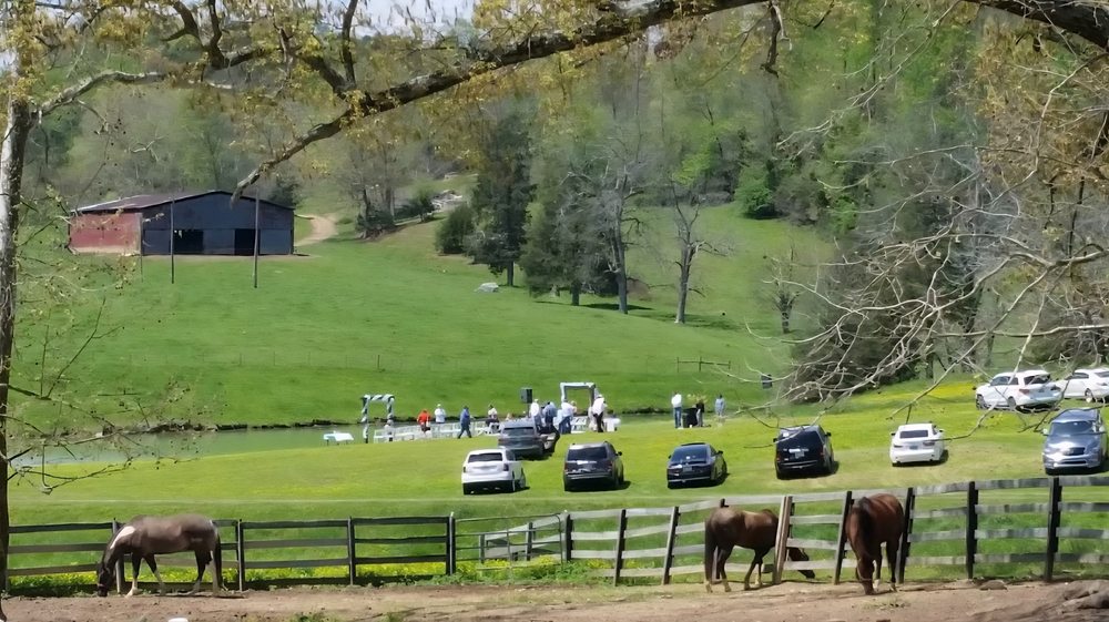 Red Gate - equestrian in Maynardville, TN