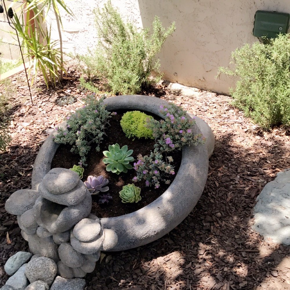 Gonzalez Nursery - Nurseries & Gardening Near Me - Monrovia, California