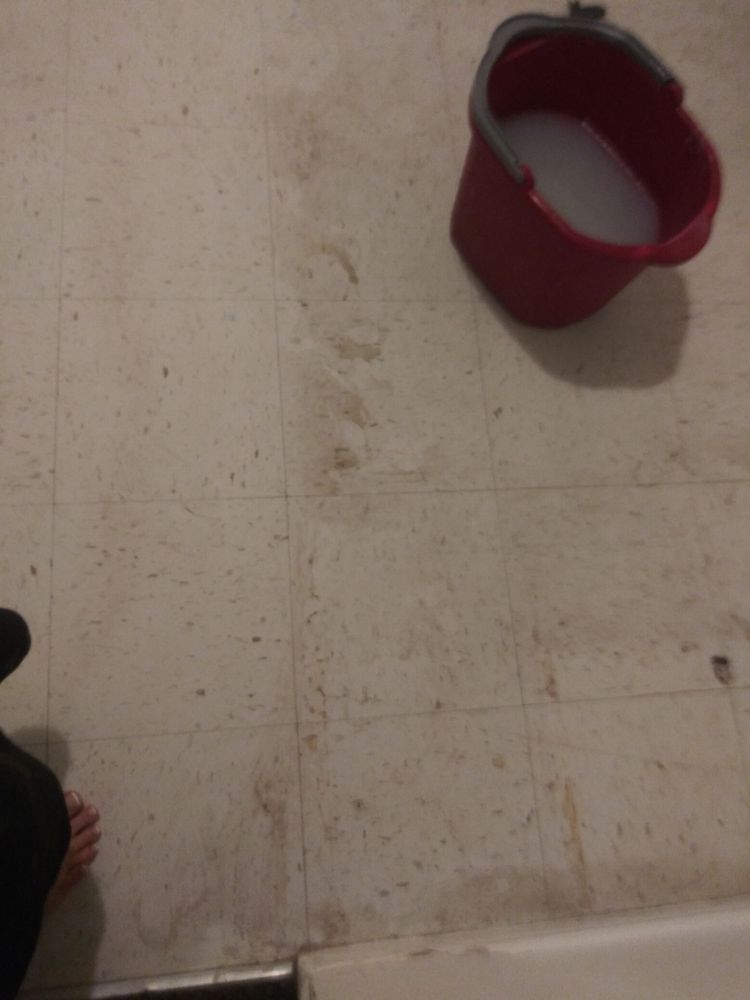 WATSON PROPERTY MANAGEMENT 12 Reviews 9101 Camino Media