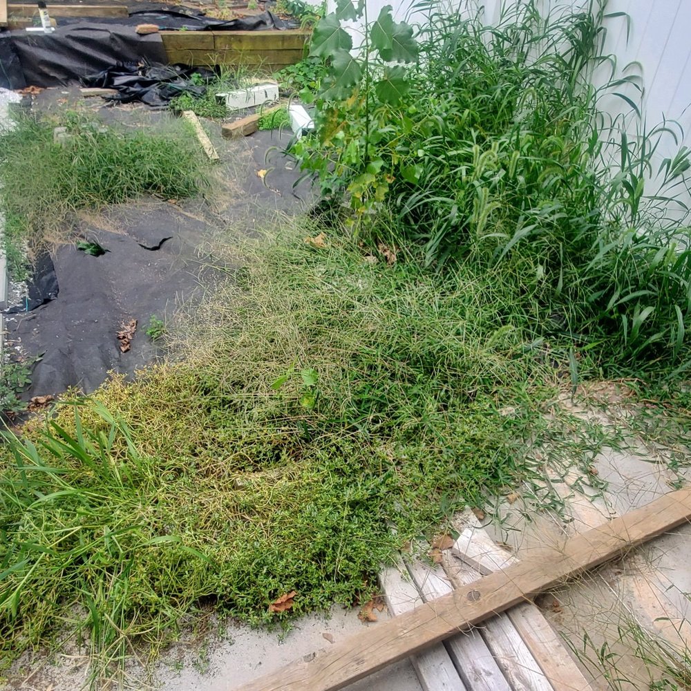 Lahwah Landscaping - Before - Tree Services Near Me - Jersey City, New Jersey Lahwah Landscaping - Before - Tree Services Near Me - Jersey City, New Jersey