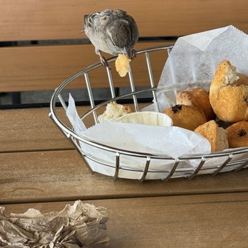 Chad's - Need to chair your mini muffins with nature - Breakfast & Brunch Near Me - Santa Barbara, California Chad's - Need to chair your mini muffins with nature - Breakfast & Brunch Near Me - Santa Barbara, California