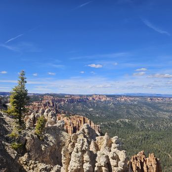 Rainbow Point - View of hoodoos - Landmarks & Historical Buildings Near Me - Bryce, Utah