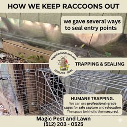 Magic Pest and Lawn - Humane wildlife removal + custom sealing to keep pests out for good. Call Magic Pest & Lawn: 512-203-0525.