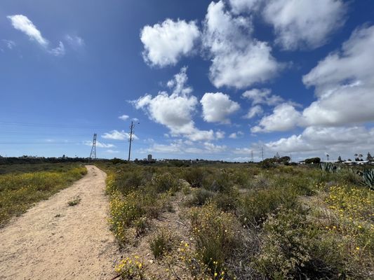 Tecolote Canyon Natural Park and Nature Center by null