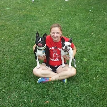 Brainy K9 Dog Training - Pet Training Near Me - Kenosha, Wisconsin Brainy K9 Dog Training - Pet Training Near Me - Kenosha, Wisconsin