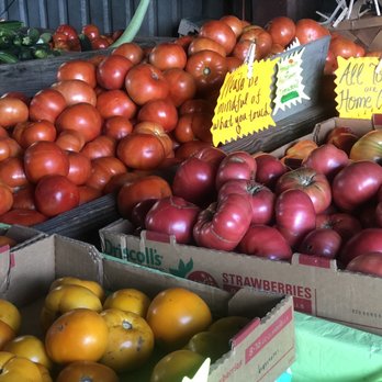 Rottcamp Brothers Farm - Farmers Market Near Me - Glen Head, New York Rottcamp Brothers Farm - Farmers Market Near Me - Glen Head, New York
