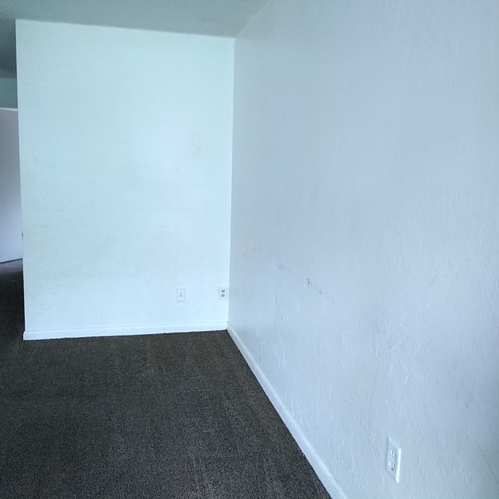 Splee - Office Cleaning Near Me - Gainesville, Florida Splee - Office Cleaning Near Me - Gainesville, Florida