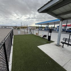 Allsup's Convenience Store - Dog run