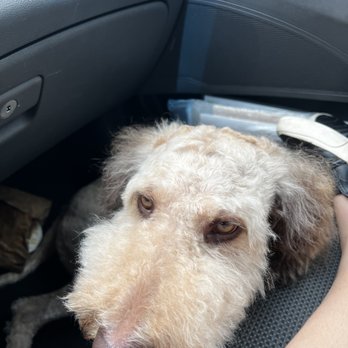 Petco - Pet Training Near Me - Bountiful, Utah Petco - Pet Training Near Me - Bountiful, Utah